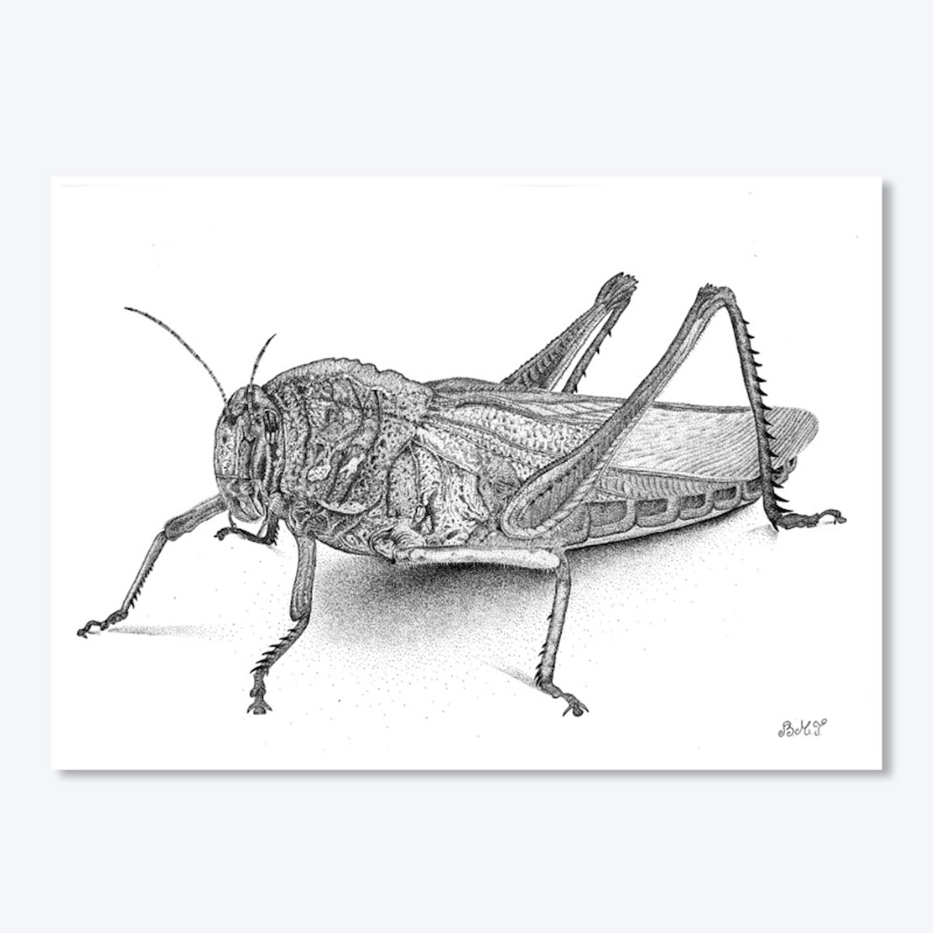 Grasshopper sticker